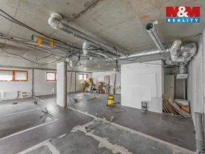 Pronájem obchodního prostoru, Praha - Břevnov, Bělohorská, 168 m2