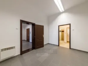 Pronájem bytu 2+1, České Budějovice - České Budějovice 1, nám. Přemysla Otakara II., 103 m2