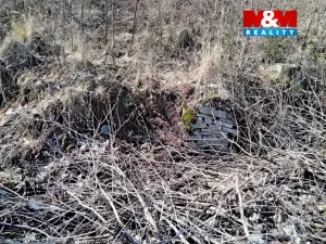 Prodej pozemku, Pstruží, 12588 m2