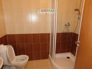 Pronájem bytu 1+kk, Plzeň - Jižní Předměstí, Hřímalého, 35 m2