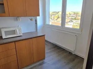 Prodej bytu 3+1, Prachovice, Bučina, 65 m2