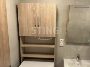 Pronájem bytu 1+kk, Ostrava, S. K. Neumanna, 30 m2