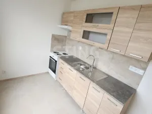 Pronájem bytu 2+1, Přerov, nábř. Protifašistických bojovníků, 50 m2