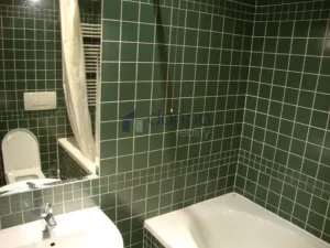 Pronájem bytu 2+kk, Praha, Mexická, 46 m2