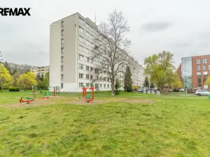 Pronájem bytu 3+1, Praha - Karlín, Molákova, 63 m2