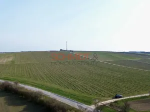 Prodej sadu/vinice, Němčičky, 11748 m2