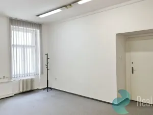 Pronájem kanceláře, Praha, Opletalova, 28 m2