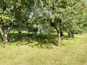 Pronájem kanceláře, Plzeň - Jižní Předměstí, Na Jíkalce, 20 m2