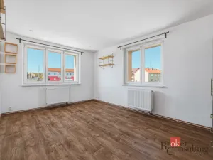 Prodej bytu 3+kk, Heřmanova Huť - Vlkýš, Revoluční, 77 m2