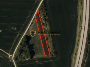 Prodej chaty, Hulín, 19 m2