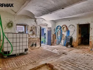 Prodej zemědělské usedlosti, Drhovle - Pamětice, 160 m2