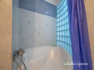 Pronájem bytu 3+kk, Praha - Žižkov, Přemyslovská, 65 m2