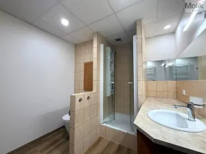 Pronájem bytu 2+1, Most, U Stadionu, 55 m2