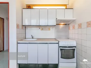 Prodej bytu 1+1, Plzeň - Severní Předměstí, Hodonínská, 47 m2