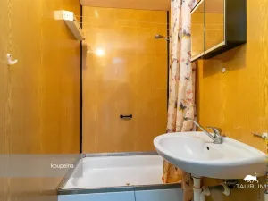 Prodej bytu 1+1, Plzeň - Severní Předměstí, Hodonínská, 47 m2