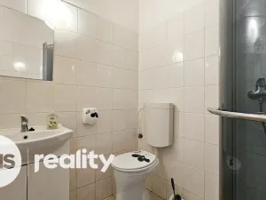 Pronájem bytu 1+kk, Opava - Město, Nákladní, 32 m2
