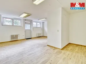 Prodej obchodního prostoru, Most, Javorová, 34 m2