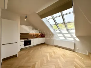 Pronájem atypického bytu, Praha - Smíchov, Holečkova, 56 m2