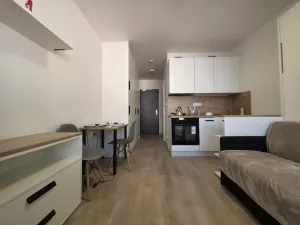 Pronájem bytu 1+kk, Praha - Smíchov, Plzeňská, 20 m2