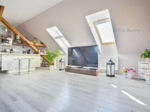 Prodej atypického bytu, Hrobčice - Razice, 244 m2