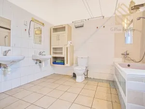 Prodej atypického bytu, Hrobčice - Razice, 244 m2