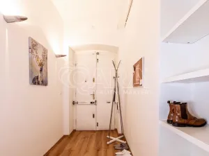 Pronájem bytu 1+kk, Praha - Vinohrady, Mánesova, 53 m2