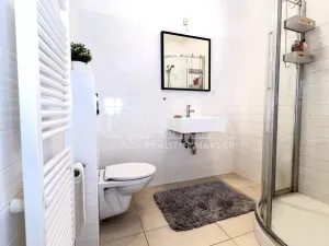 Pronájem bytu 1+kk, Praha - Vinohrady, Mánesova, 53 m2