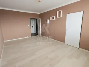 Prodej bytu 1+1, České Budějovice, Čéčova, 51 m2