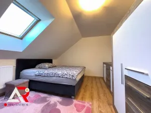 Prodej rodinného domu, Velešovice, 451 m2