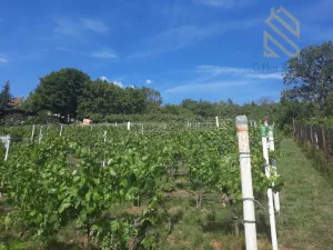 Prodej pozemku pro bydlení, Velké Žernoseky, 4490 m2