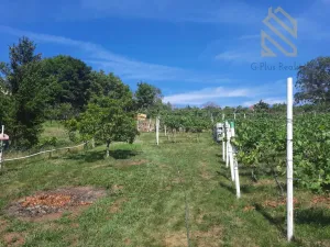 Prodej pozemku pro bydlení, Velké Žernoseky, 4490 m2