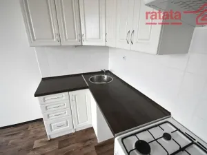 Pronájem bytu 1+1, Chomutov, Růžová, 35 m2