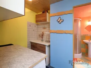 Prodej ubytování, Desná - Desná III, Polubenská, 640 m2