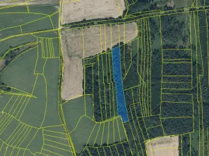 Prodej lesa, Blížejov - Lštění, 6627 m2