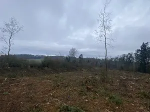 Prodej lesa, Blížejov - Lštění, 7793 m2