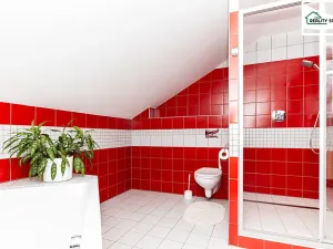 Prodej rodinného domu, Třebeň - Nový Drahov, 339 m2