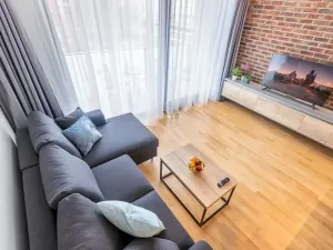 Pronájem bytu 2+kk, Praha - Žižkov, U Viktorie, 68 m2