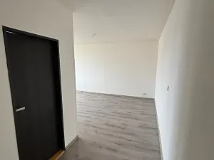 Pronájem bytu 3+1, Most, Brněnská, 69 m2