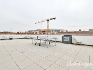 Pronájem bytu 1+kk, Brno - Zábrdovice, Spolková, 34 m2