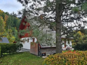 Prodej chalupy, Zlaté Hory - Horní Údolí, 135 m2