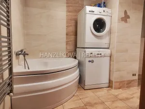 Pronájem bytu 1+1, České Budějovice - České Budějovice 3, Rudolfovská tř., 35 m2