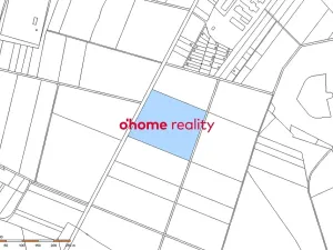 Prodej pole, Křelov-Břuchotín, 31871 m2