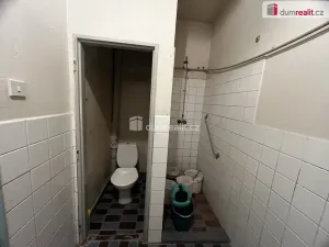 Pronájem obchodního prostoru, Újezdeček, Řetenická, 223 m2