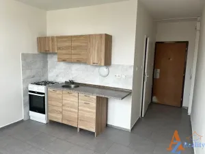 Pronájem bytu 1+1, Jirkov, Krušnohorská, 35 m2