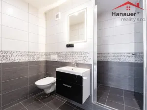 Pronájem bytu 2+kk, Chlumec, Alejní, 48 m2