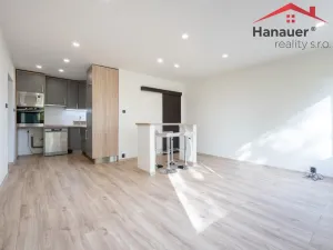 Pronájem bytu 2+kk, Chlumec, Alejní, 48 m2