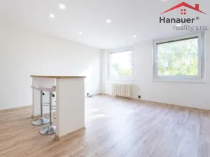 Pronájem bytu 2+kk, Chlumec, Alejní, 48 m2