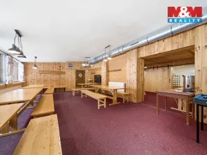 Prodej ubytování, Čenkovice, 297 m2