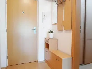 Pronájem bytu 1+kk, Brno, Šemberova, 51 m2