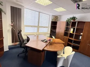 Pronájem kanceláře, Brno - Zábrdovice, Příkop, 16 m2